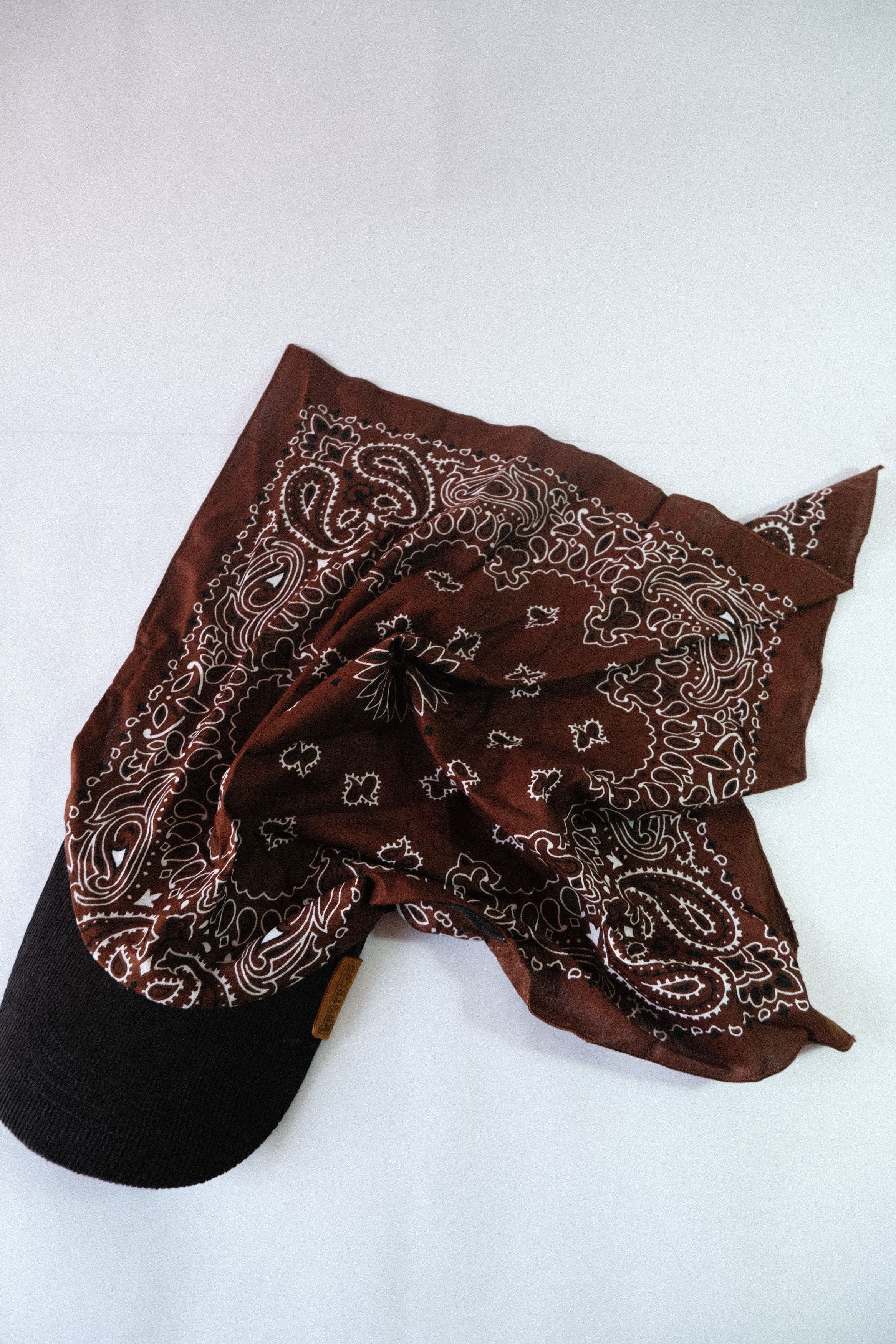 Black Corduroy Brim | Cocoa Veil Kapri