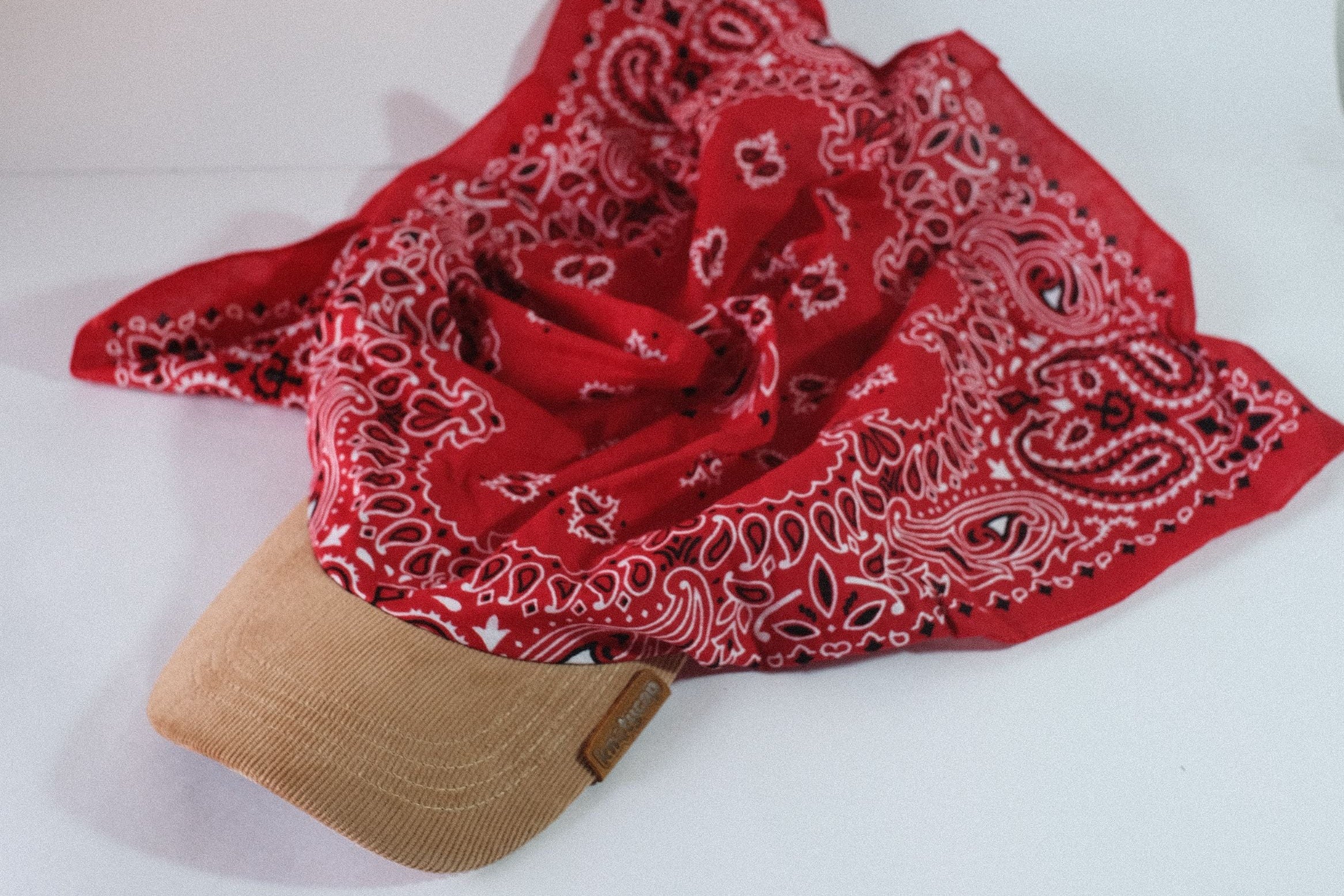 Beige Corduroy Brim | Crimson Veil Kapri