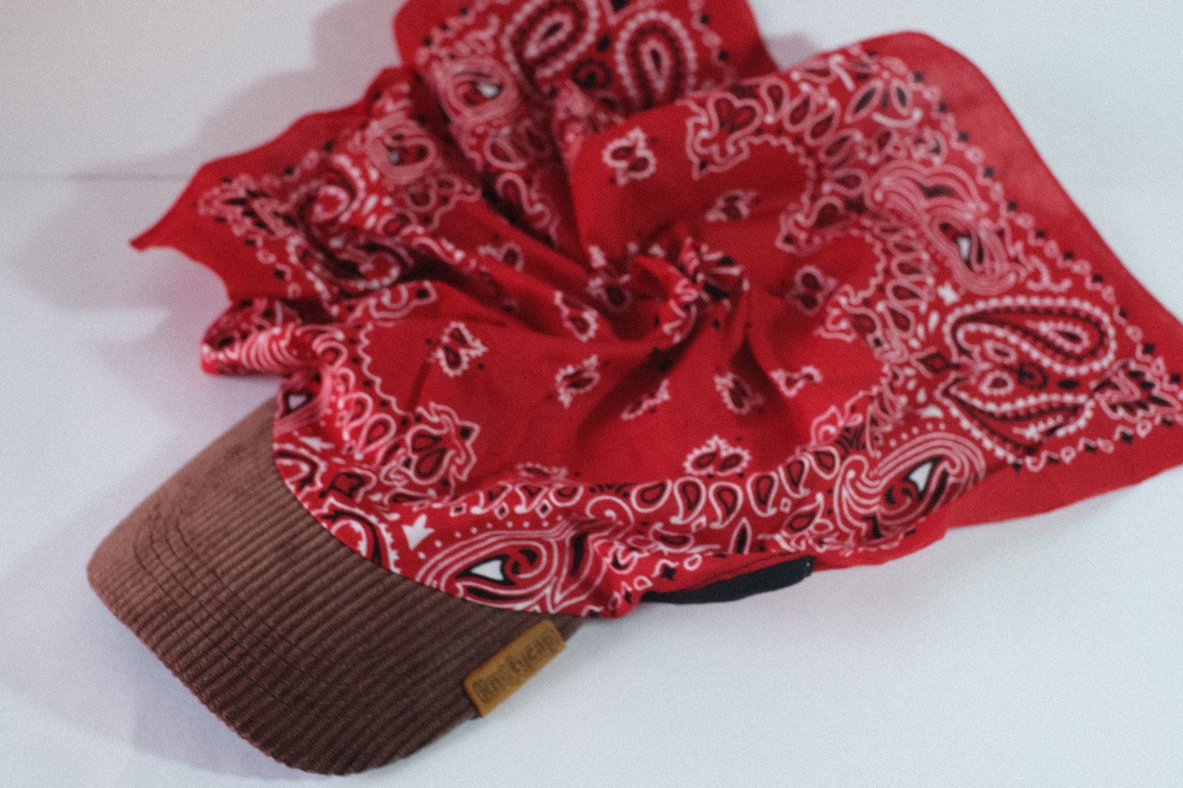 Dark Corduroy Brim | Crimson Veil Kapri