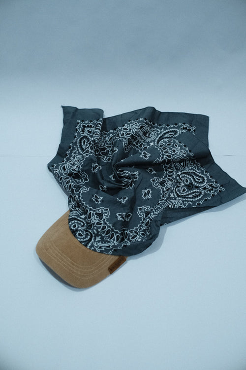 Beige Corduroy Brim Grey Kapri