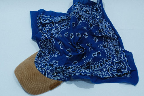 Beige Corduroy Brim | Iris Blue Kapri