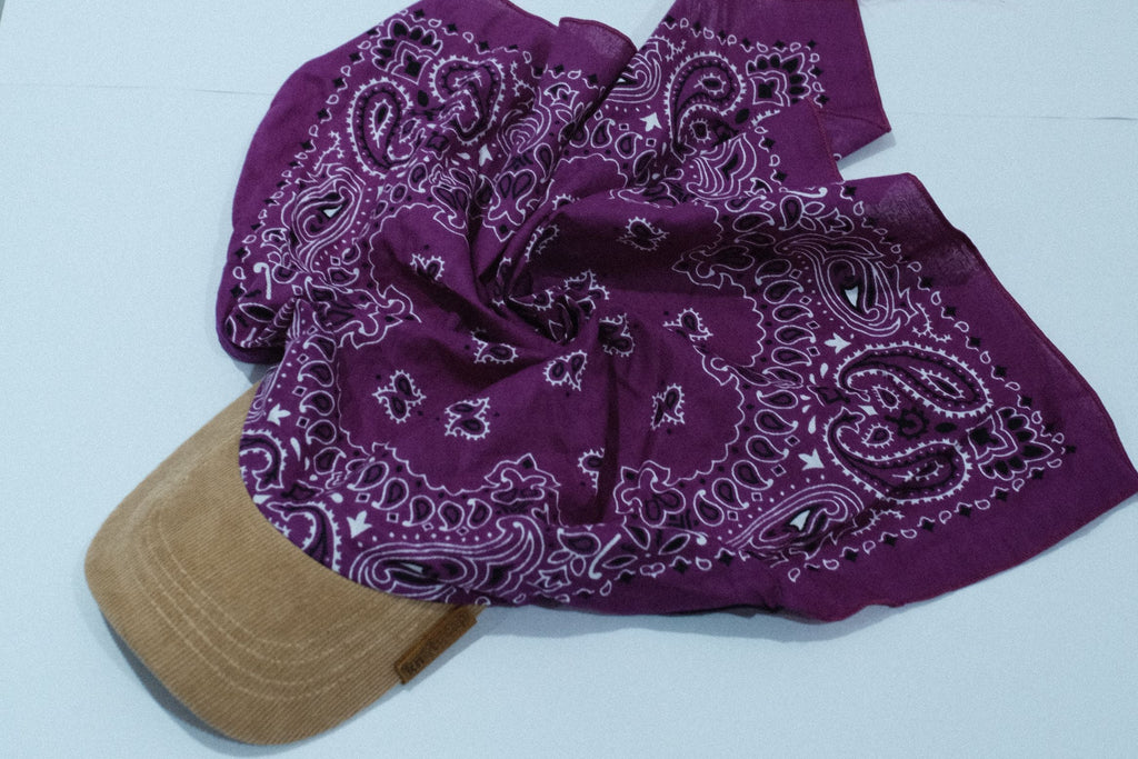 Beige Corduroy Brim Pink Mix Kapri